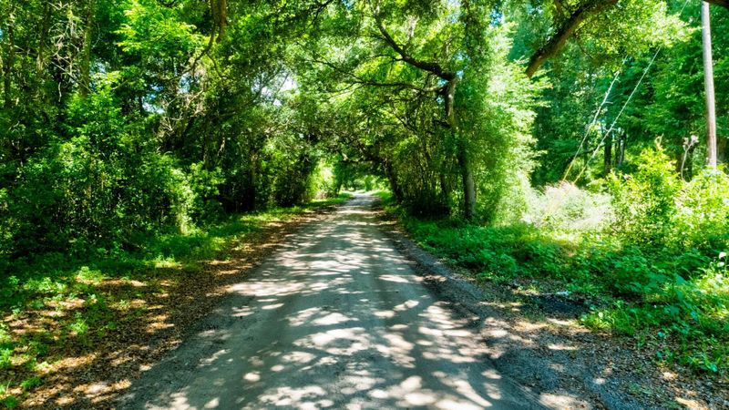 00 Arsburn Rd, James Island, SC 29412