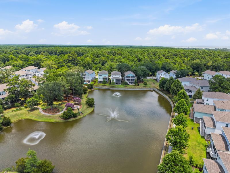 1541 Cultivation Ln, Mount Pleasant, SC 29466