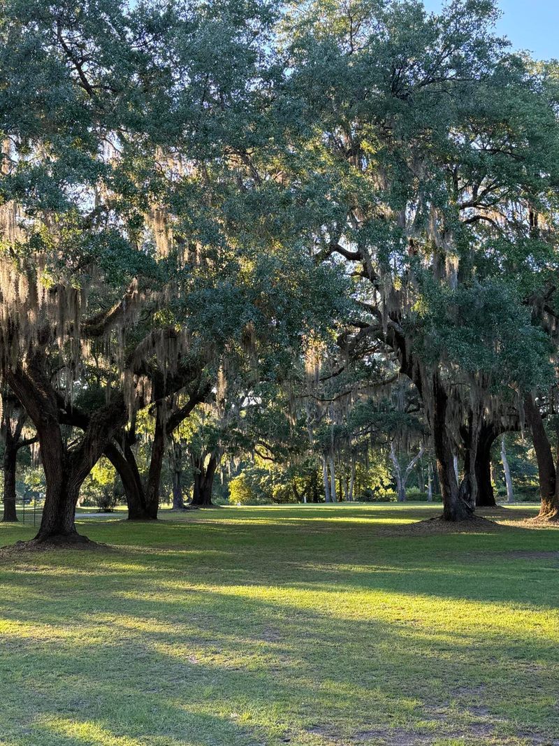 4139 Pritchard Green Rd #X-2c, Mount Pleasant, SC 29429