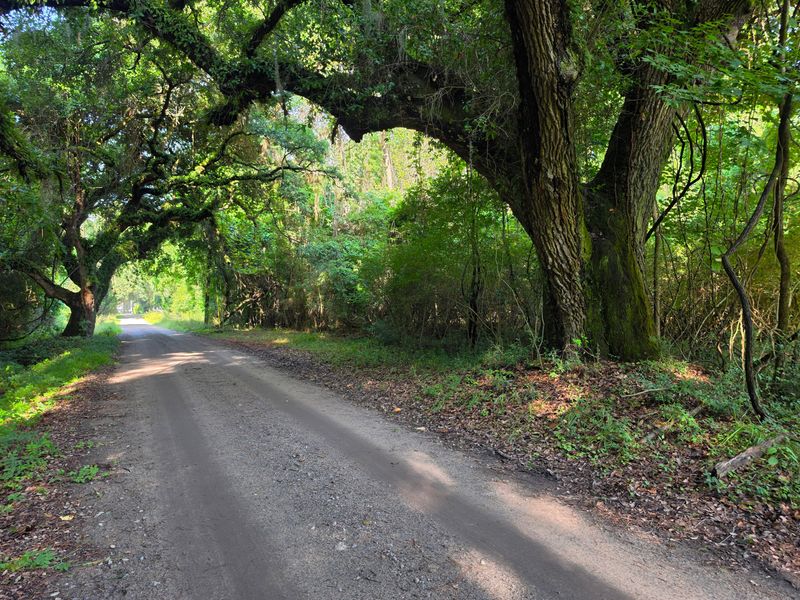 328 Drayton St, Mcclellanville, SC 29458