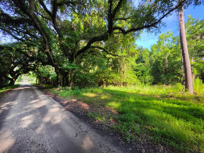 328 Drayton St, Mcclellanville, SC 29458