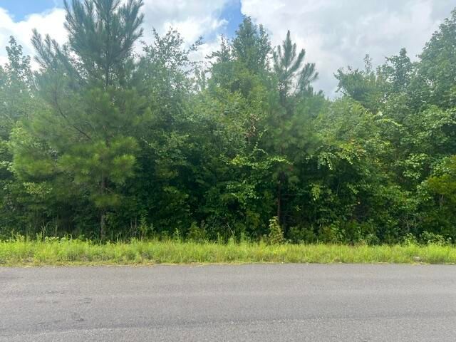 0 Thomas Rd, Dorchester, SC 29437