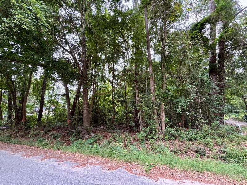 0 Glayton Dr, Ravenel, SC 29470