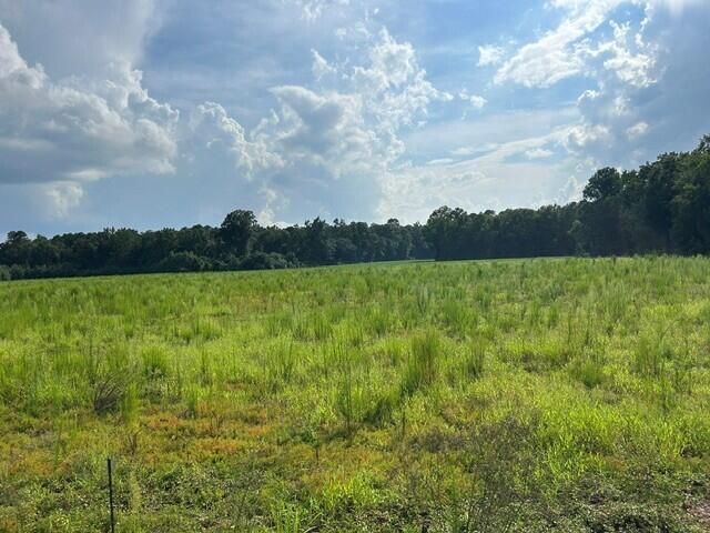Lot 2 7 Mile Rd, Harleyville, SC 29448