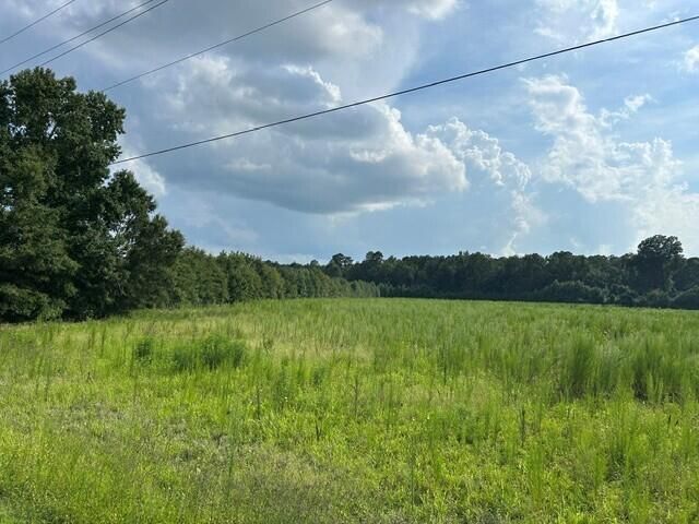 Lot 5 7 Mile Rd, Harleyville, SC 29448