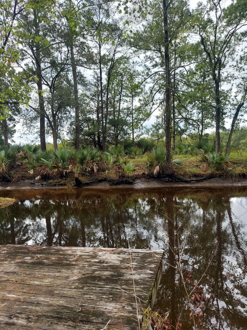 4083 Prices Bridge Ln, Walterboro, SC 29488