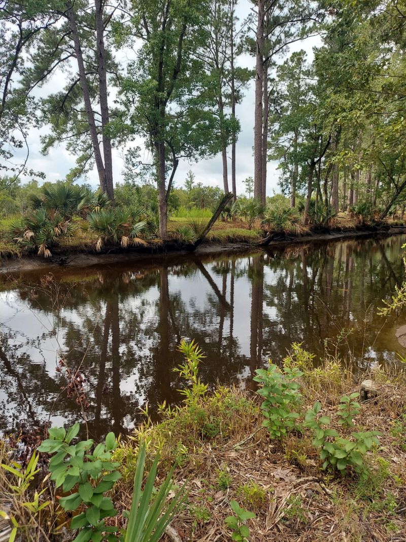 4083 Prices Bridge Ln, Walterboro, SC 29488