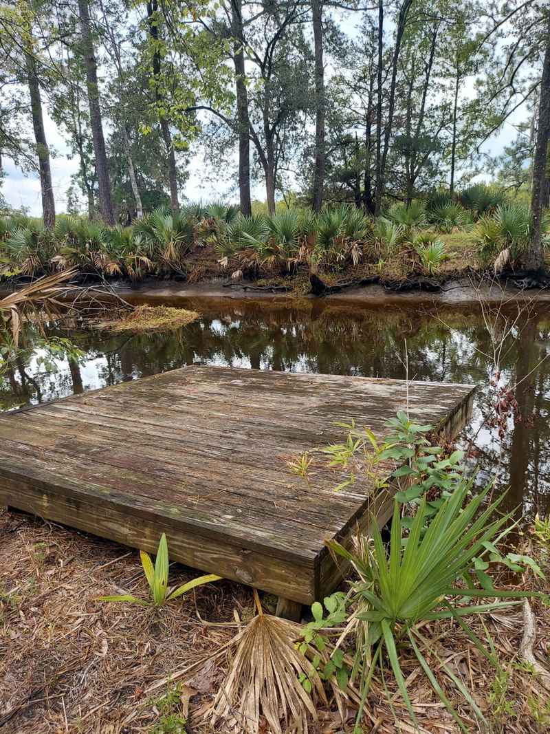 4083 Prices Bridge Ln, Walterboro, SC 29488