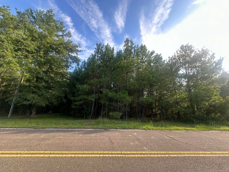 108 Blanchard Ln, Jamestown, SC 29453