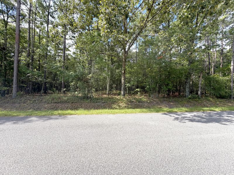 76 Honey Dr, Walterboro, SC 29488