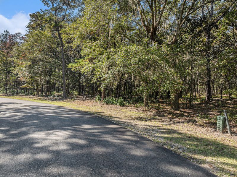 0 Gnarled Oaks Ln, Johns Island, SC 29455