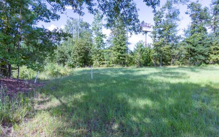 0 Mulberry Rd, Saint George, SC 29477