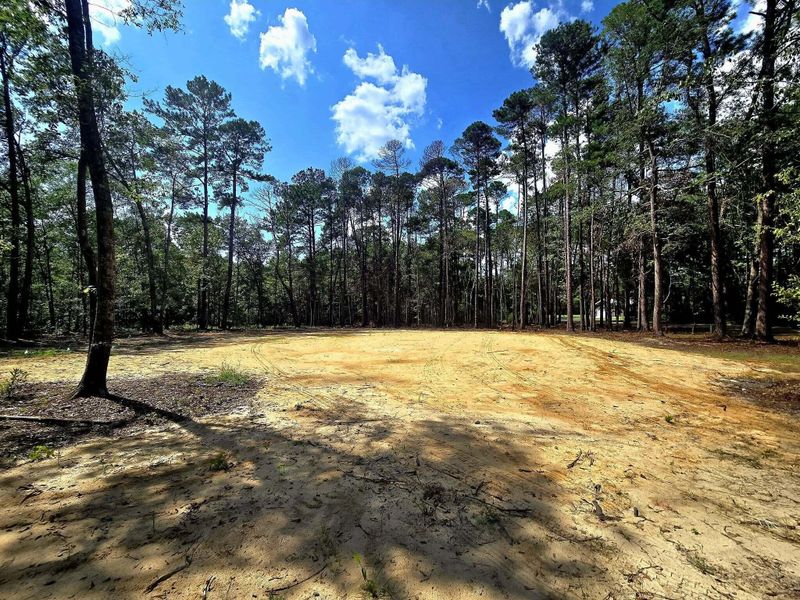 0 White Sands Rd, Walterboro, SC 29488