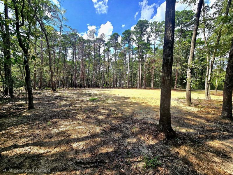0 White Sands Rd, Walterboro, SC 29488
