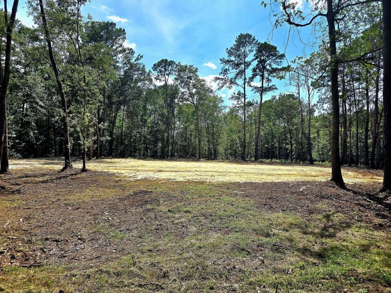 0 White Sands Rd, Walterboro, SC 29488