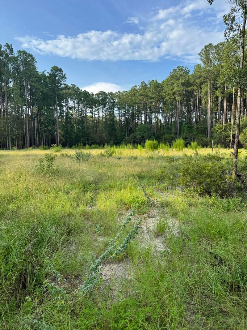 000 Saturn, Walterboro, SC 29488