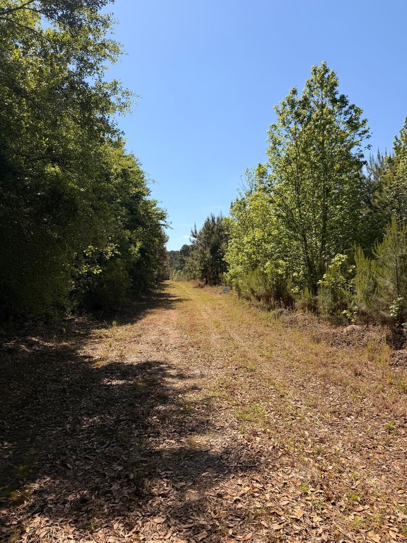 1 Cottage Ln, Saint Stephen, SC 29479