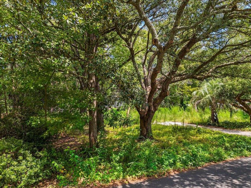 0 Lindberg St Lot 10a, Charleston, SC 29412