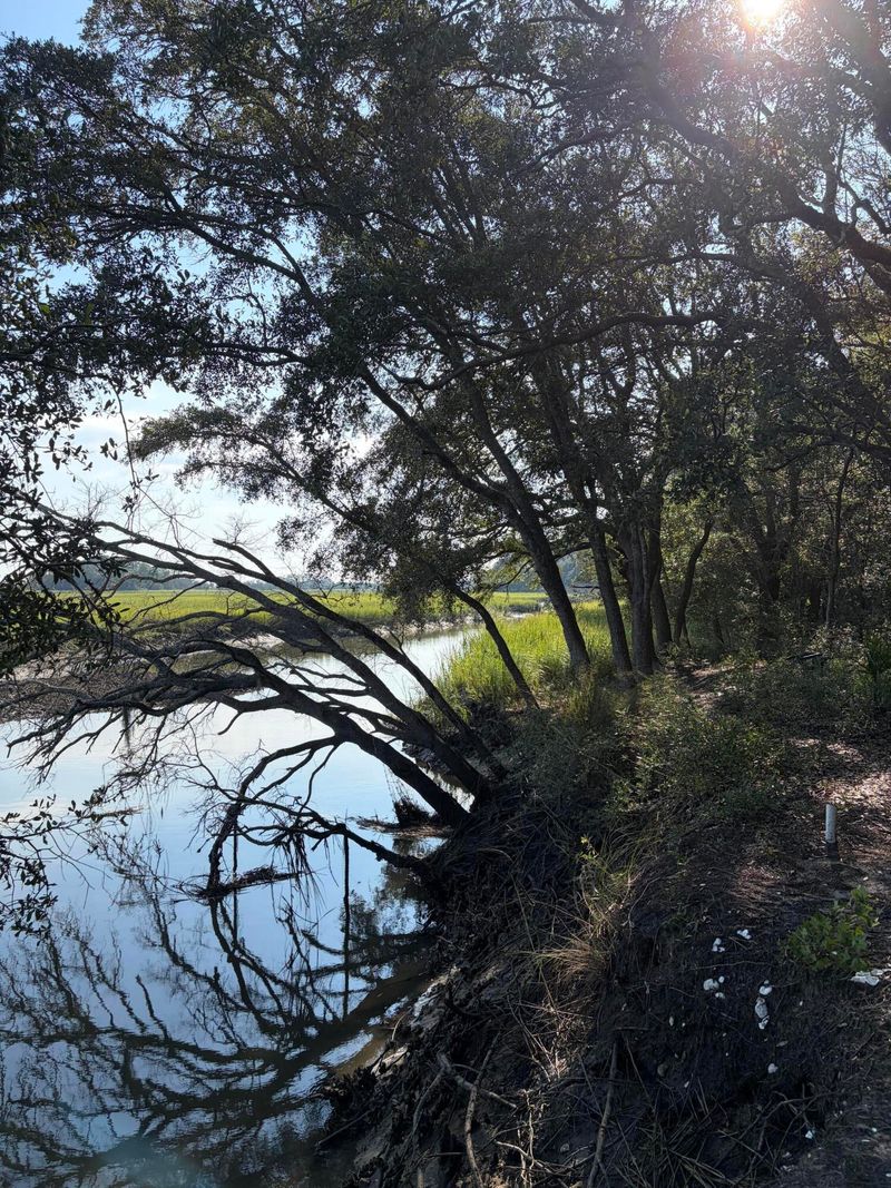 0 Intracoastal Waterway, Mcclellanville, SC 29458