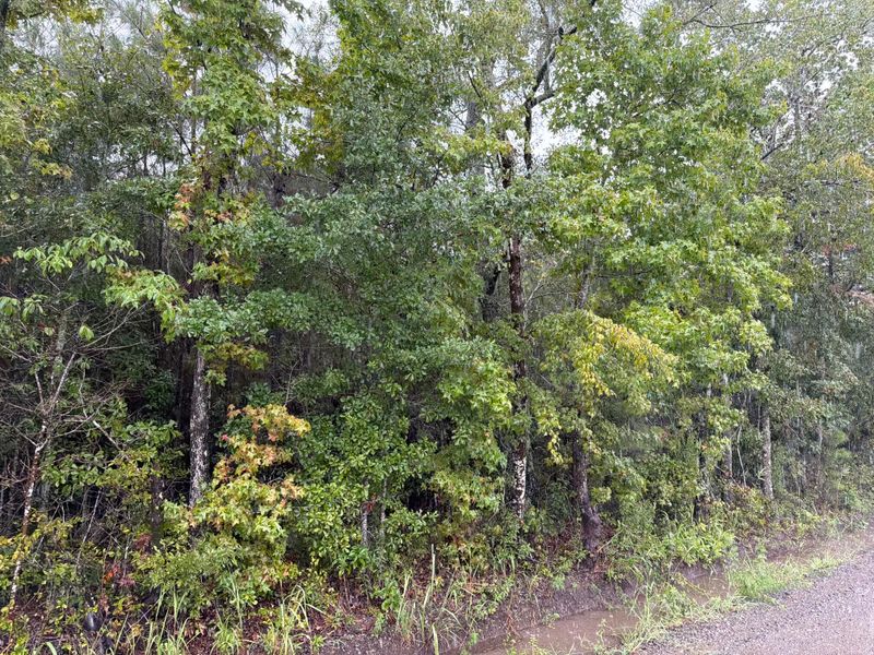 0 Markham Rd, Ridgeville, SC 29472