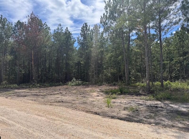 Lot 4 Walker Rd, Ridgeville, SC 29472