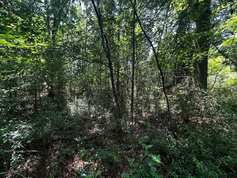0 Bells Hw, Walterboro, SC 29488