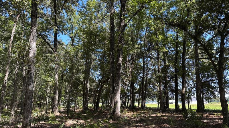 371 Austin Swamp Ln, Ridgeville, SC 29472