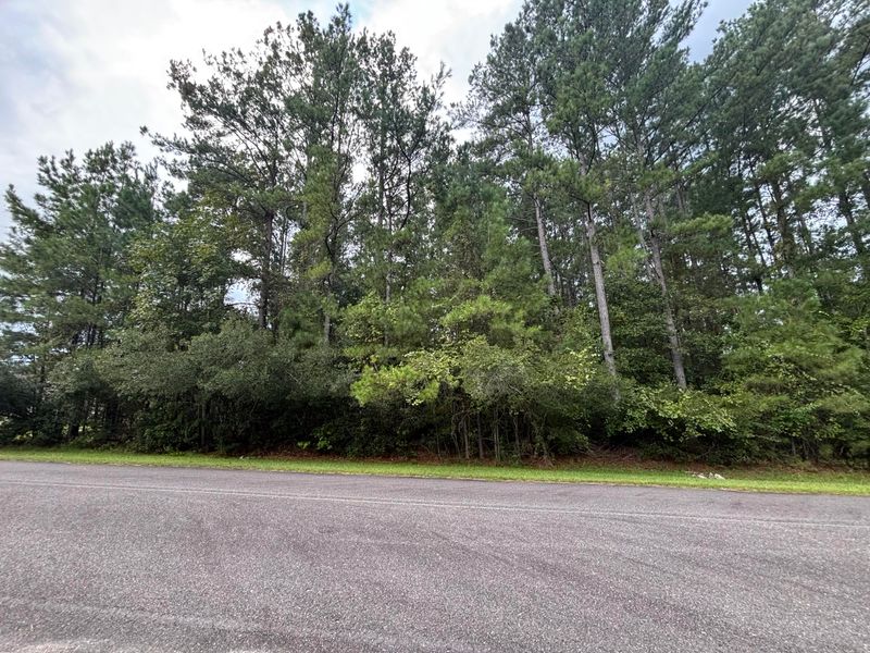 1128 Plantation Overlook, Moncks Corner, SC 29461