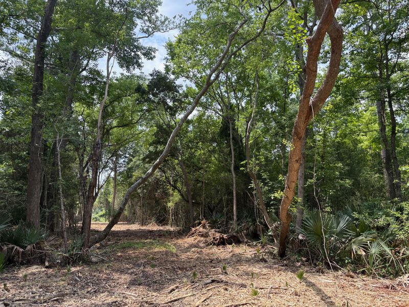 0 Bushy Park Rd, Moncks Corner, SC 29461