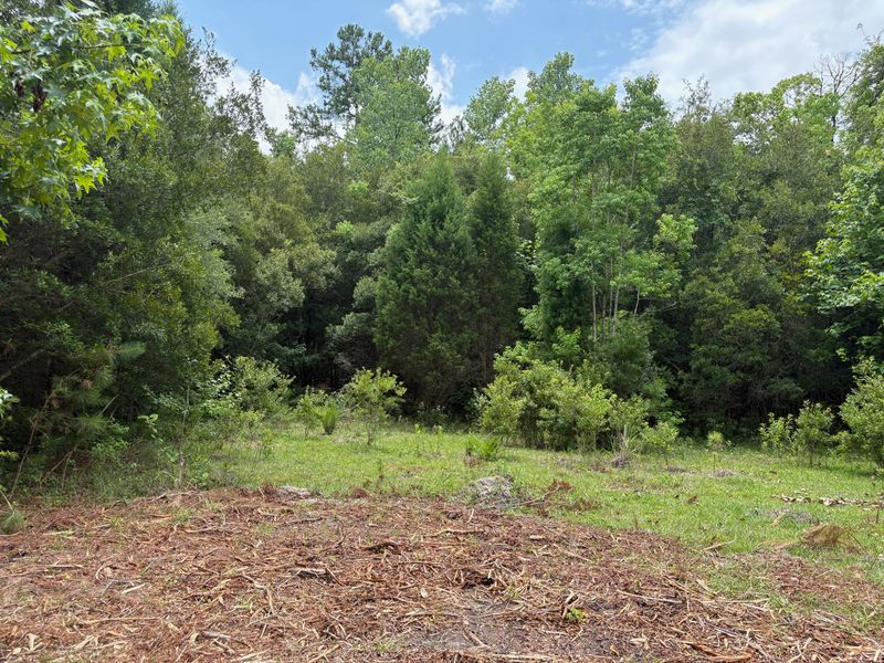 0 Bushy Park Rd, Moncks Corner, SC 29461