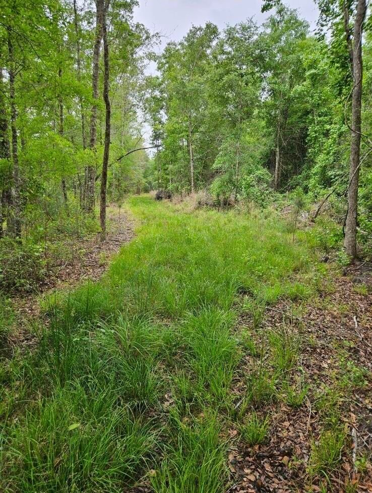 1300 Misty Ridge Ln, Walterboro, SC 29488