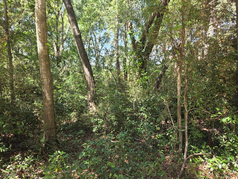 1026c Mathis Ferry Rd, Mount Pleasant, SC 29464