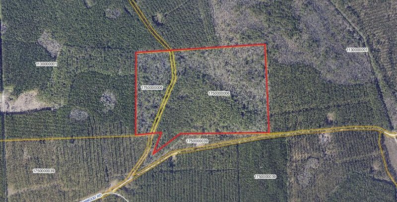 00 Greenwood Rd, Adams Run, SC 29426