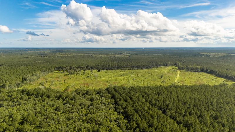 00 Greenwood Rd, Adams Run, SC 29426