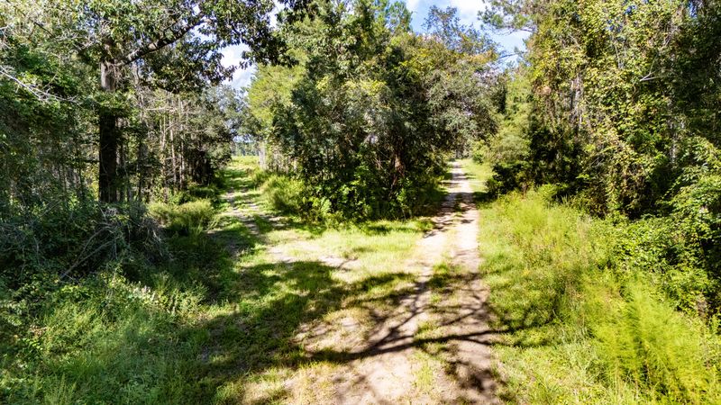 00 Greenwood Rd, Adams Run, SC 29426