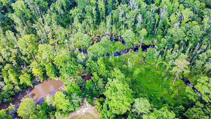 0-A Mt Carmel Rd, Walterboro, SC 29488