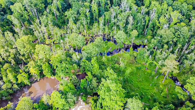 0-B Mt Carmel Rd, Walterboro, SC 29488