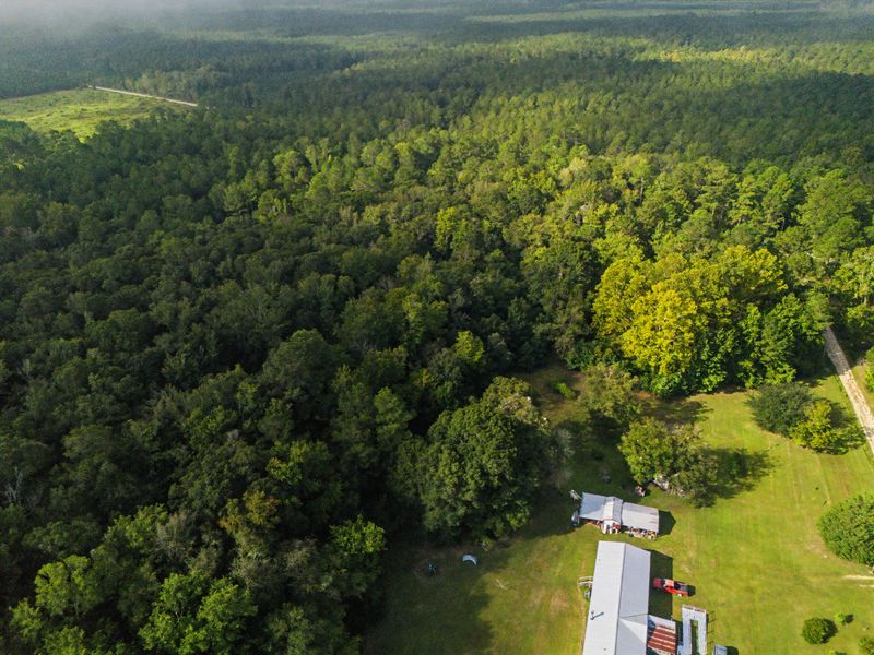 0 Tree Farm Rd, Walterboro, SC 29488