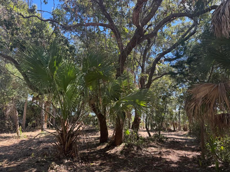 211 Lilly St, Edisto Island, SC 29438