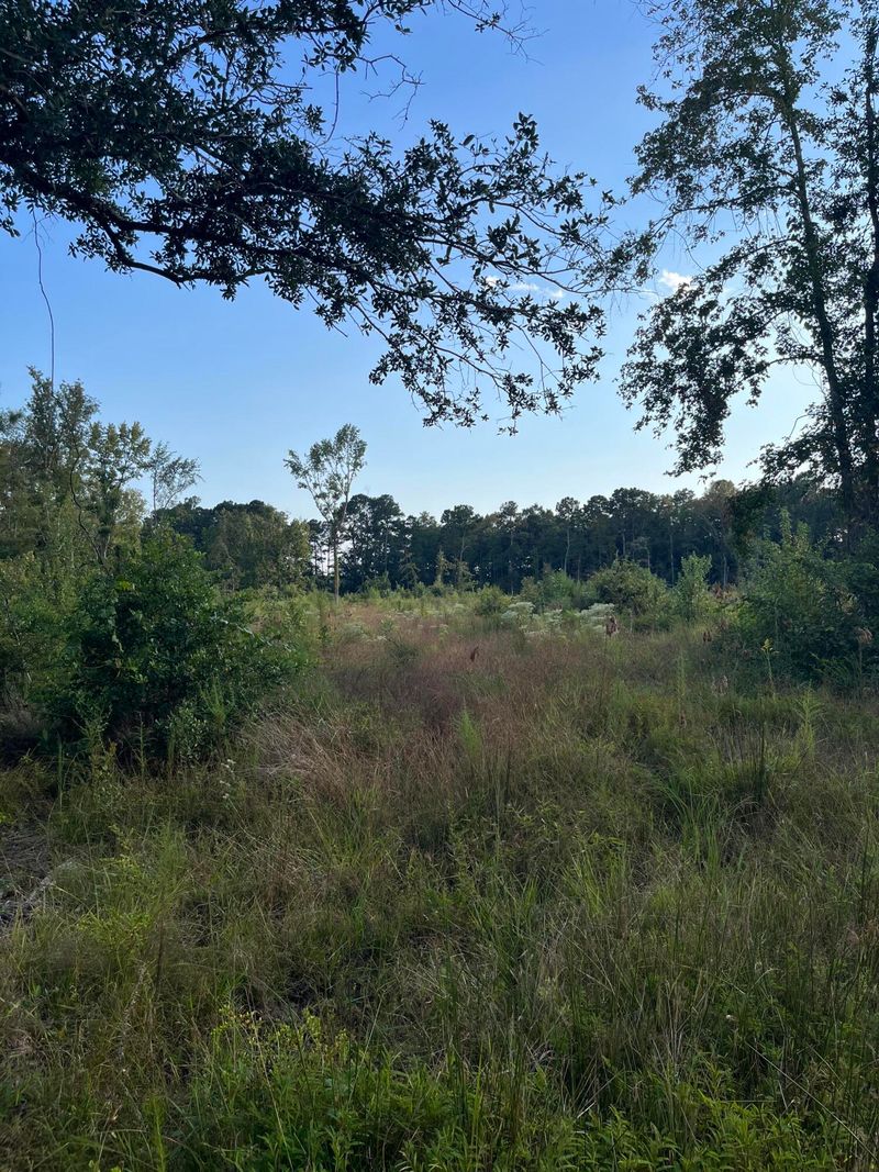 0 Yaremich Rd, Moncks Corner, SC 29461