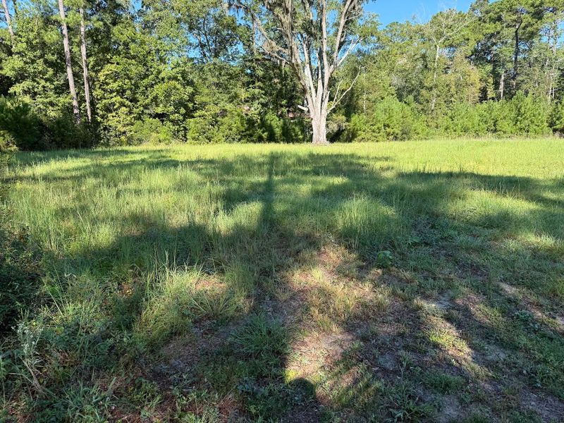 6142 Savannah Hw Lot 1a, Ravenel, SC 29470