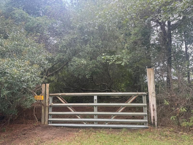 000 Hazelhurst Ln, Ravenel, SC 29470
