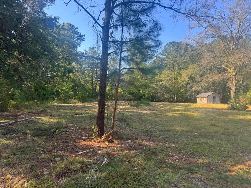 171 Winningham Rd, Summerville, SC 29483