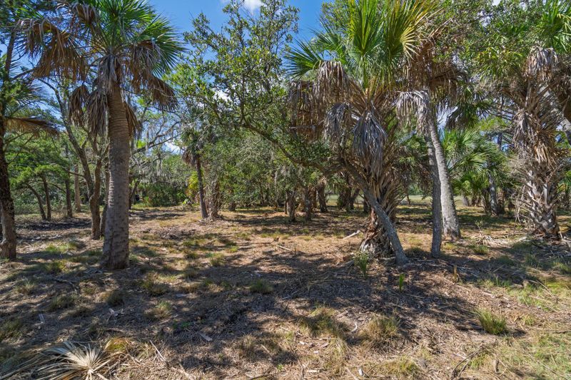 35 Hammocks Way, Edisto Island, SC 29438