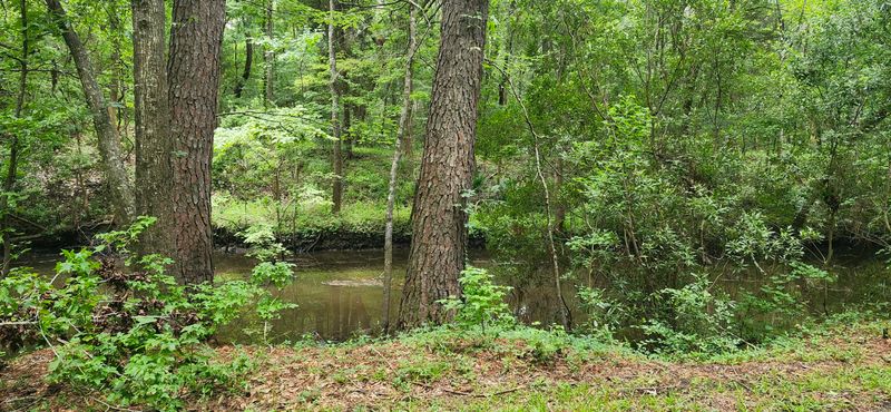 113 Hampton Dr, Summerville, SC 29485