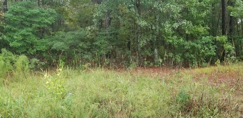 000 St Peters, Walterboro, SC 29488