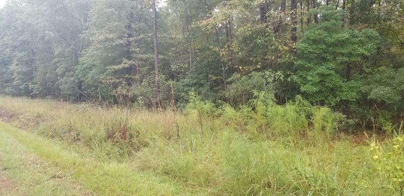 000 St Peters, Walterboro, SC 29488