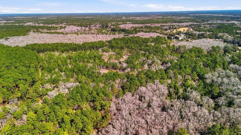 00 Gertie Ln, Cordesville, SC 29434