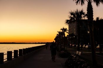 9 12 Halsey St, Charleston, SC 29401