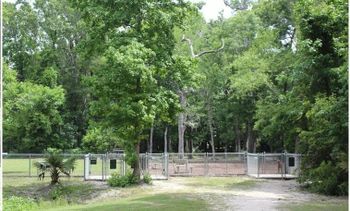 306 Whispering Cypress Dr, Charleston, SC 29414